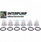 Ремкомплект Interpump Kit 169